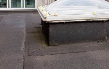 disadvantages of Annfield Plain flat roofs