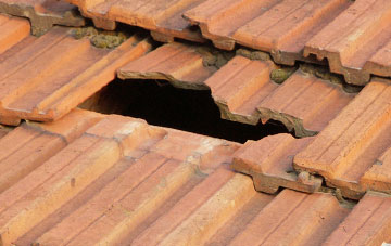 roof repair Annfield Plain, County Durham